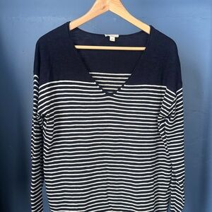 GAP Navy and White Striped V-Neck Sweater